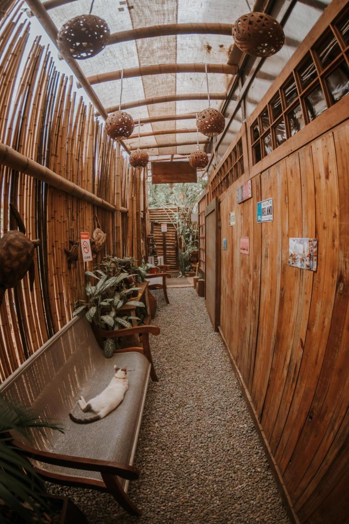 Doce Lar Hostel Noronha Fernando de Noronha Eksteriør billede